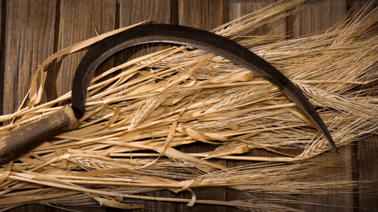 Üretim Tarzları Arasındaki Farklar Nelerdir?